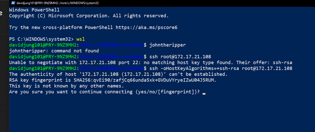 Brute force authentication testing